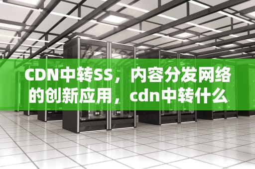 CDN中转SS，内容分发网络的创新应用，cdn中转什么意思