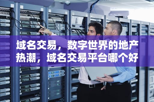 域名交易，数字世界的地产热潮，域名交易平台哪个好