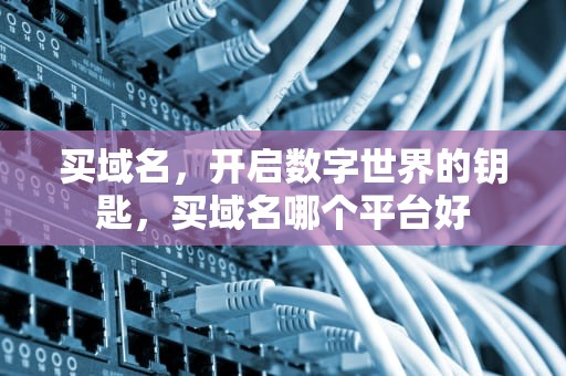 买域名，开启数字世界的钥匙，买域名哪个平台好