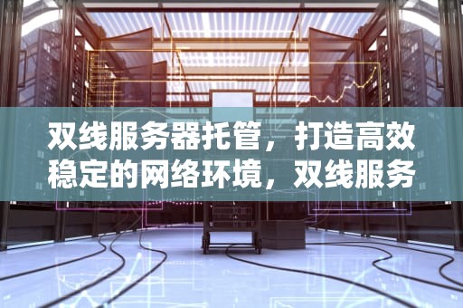 双线服务器托管，打造高效稳定的网络环境，双线服务器租用托管