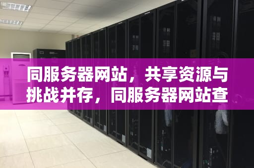 同服务器网站，共享资源与挑战并存，同服务器网站查询