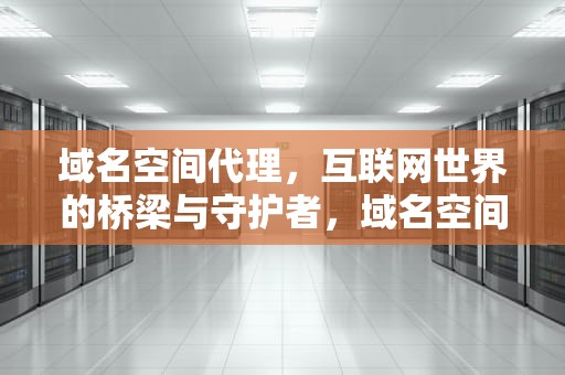 域名空间代理，互联网世界的桥梁与守护者，域名空间代理是什么