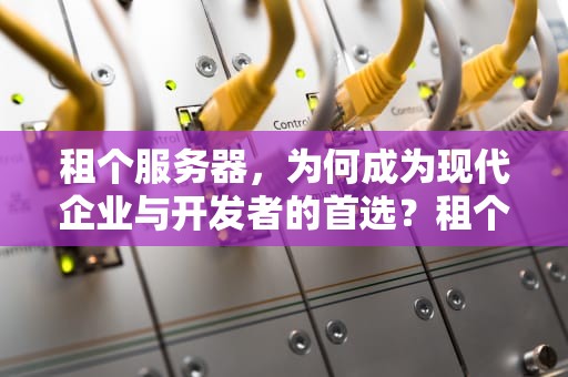 租个服务器，为何成为现代企业与开发者的首选？租个服务器多少钱一个月