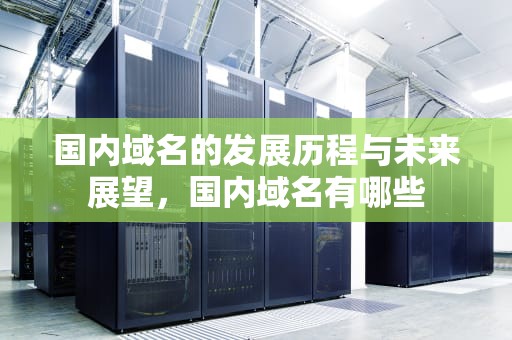 国内域名的发展历程与未来展望，国内域名有哪些