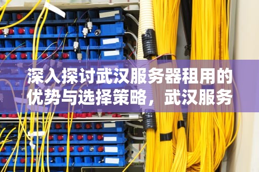 深入探讨武汉服务器租用的优势与选择策略，武汉服务器租用公司