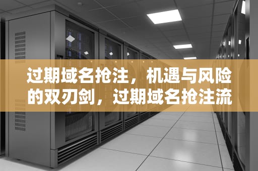 过期域名抢注，机遇与风险的双刃剑，过期域名抢注流程