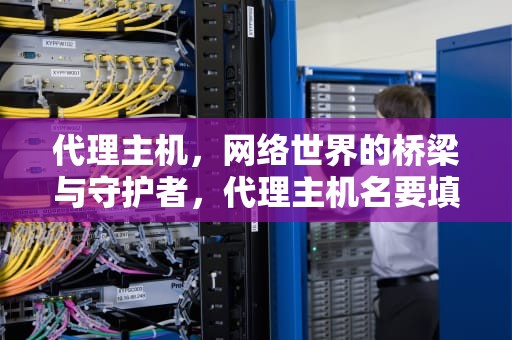 代理主机，网络世界的桥梁与守护者，代理主机名要填什么
