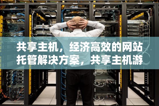 共享主机，经济高效的网站托管解决方案，共享主机游戏加盟
