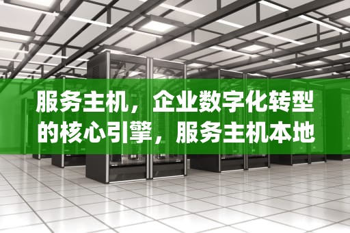 服务主机，企业数字化转型的核心引擎，服务主机本地系统cpu占用高
