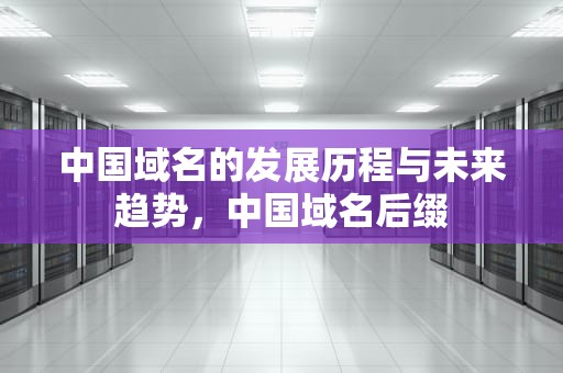 中国域名的发展历程与未来趋势，中国域名后缀