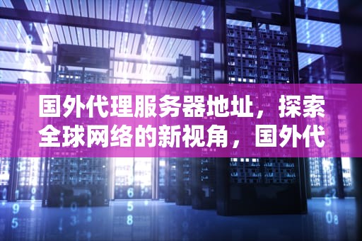 国外代理服务器地址，探索全球网络的新视角，国外代理服务器地址,服务器端口,密码