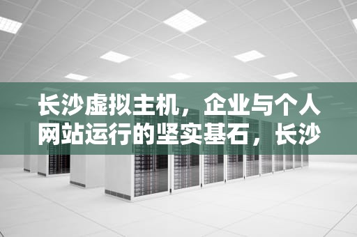 长沙虚拟主机，企业与个人网站运行的坚实基石，长沙虚拟主机生产厂家