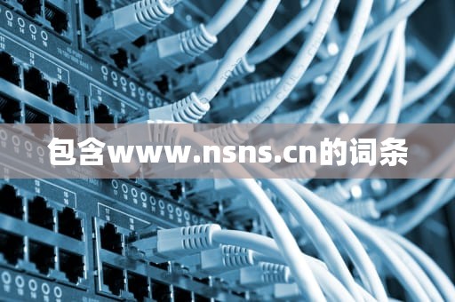 包含www.nsns.cn的词条