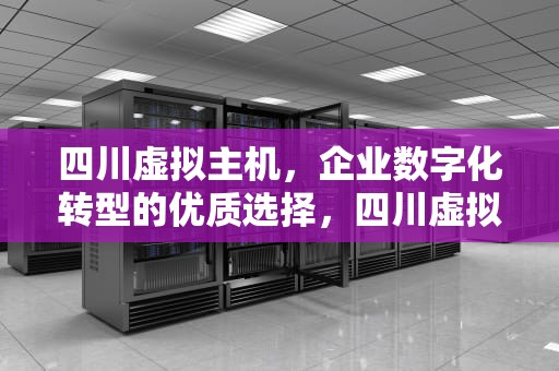 四川虚拟主机，企业数字化转型的优质选择，四川虚拟主机生产厂家