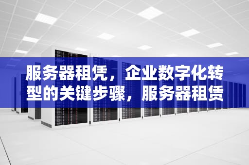 服务器租凭，企业数字化转型的关键步骤，服务器租赁多少钱