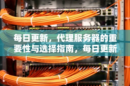 每日更新，代理服务器的重要性与选择指南，每日更新 代理服务器什么意思