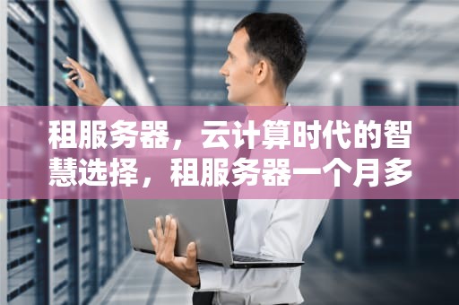租服务器，云计算时代的智慧选择，租服务器一个月多少钱
