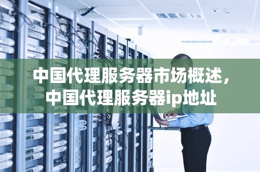 中国代理服务器市场概述，中国代理服务器ip地址