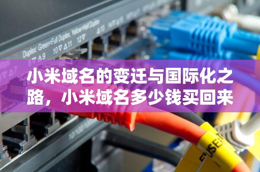 小米域名的变迁与国际化之路，小米域名多少钱买回来的