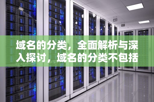 域名的分类，全面解析与深入探讨，域名的分类不包括