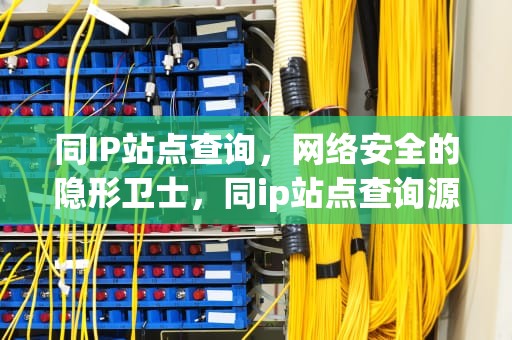 同IP站点查询，网络安全的隐形卫士，同ip站点查询源码