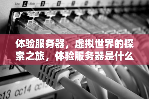 体验服务器，虚拟世界的探索之旅，体验服务器是什么意思
