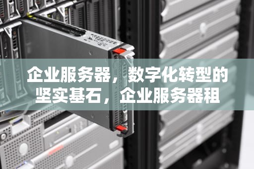 企业服务器，数字化转型的坚实基石，企业服务器租