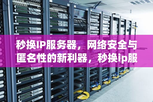 秒换IP服务器，网络安全与匿名性的新利器，秒换ip服务器租用