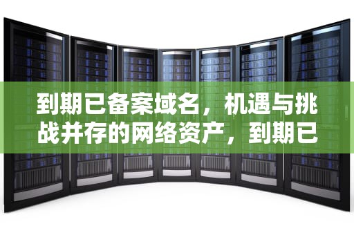 到期已备案域名，机遇与挑战并存的网络资产，到期已备案域名查询