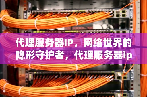 代理服务器IP，网络世界的隐形守护者，代理服务器ip地址和端口
