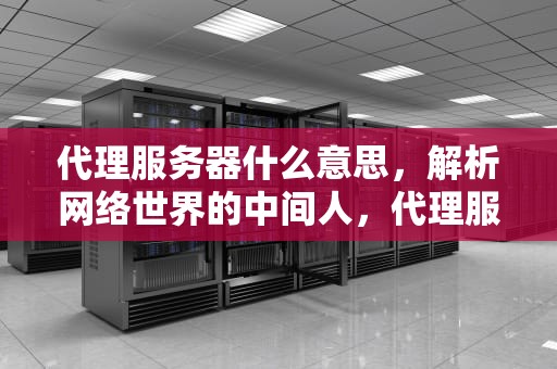 代理服务器什么意思，解析网络世界的中间人，代理服务器什么意思?