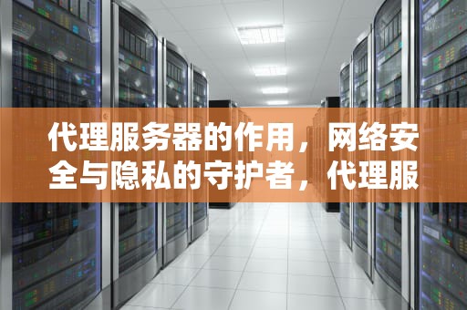 代理服务器的作用，网络安全与隐私的守护者，代理服务器的作用是什么