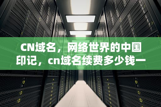 CN域名，网络世界的中国印记，cn域名续费多少钱一年