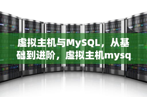 虚拟主机与MySQL，从基础到进阶，虚拟主机mysql数据库