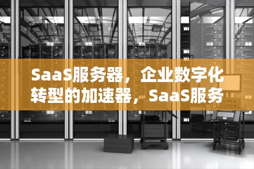 SaaS服务器，企业数字化转型的加速器，SaaS服务器资源费
