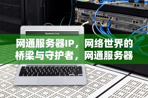 网通服务器IP，网络世界的桥梁与守护者，网通服务器在哪
