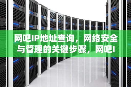 网吧IP地址查询，网络安全与管理的关键步骤，网吧IP地址查询系统