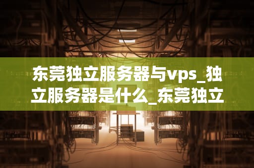 东莞独立服务器与vps_独立服务器是什么_东莞独立服务器与VPS的比较与选择