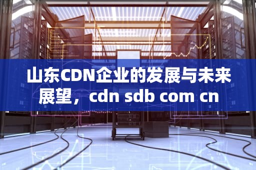 山东CDN企业的发展与未来展望，cdn sdb com cn