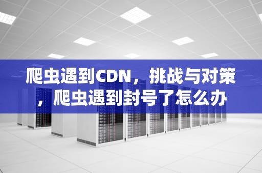 爬虫遇到CDN，挑战与对策，爬虫遇到封号了怎么办