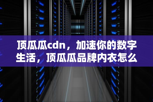顶瓜瓜cdn，加速你的数字生活，顶瓜瓜品牌内衣怎么样