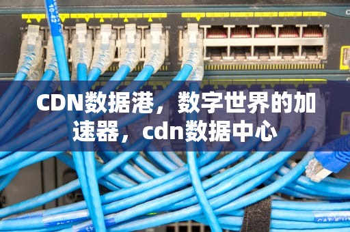 CDN数据港，数字世界的加速器，cdn数据中心
