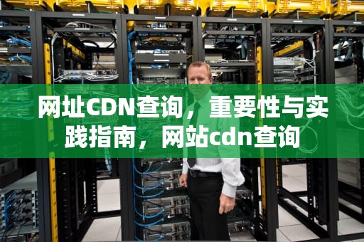 网址CDN查询，重要性与实践指南，网站cdn查询