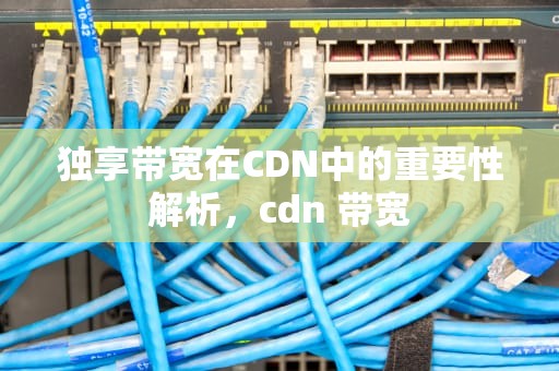 独享带宽在CDN中的重要性解析，cdn 带宽