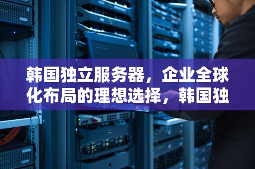 韩国独立服务器，企业全球化布局的理想选择，韩国独立服务器价格表2023