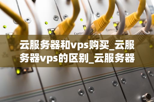 云服务器和vps购买_云服务器vps的区别_云服务器与VPS购买指南