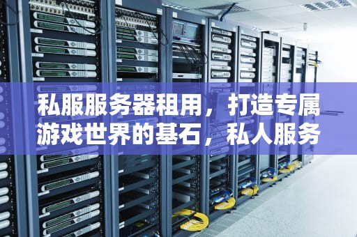 私服服务器租用，打造专属游戏世界的基石，私人服务器租用