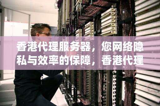 香港代理服务器，您网络隐私与效率的保障，香港代理服务器ip