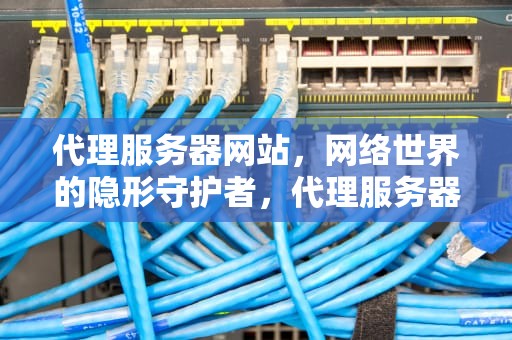 代理服务器网站，网络世界的隐形守护者，代理服务器网站推荐