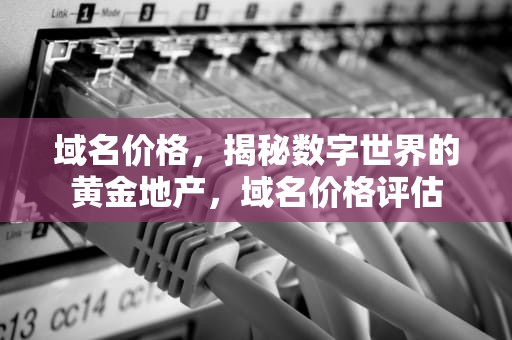 域名价格，揭秘数字世界的黄金地产，域名价格评估